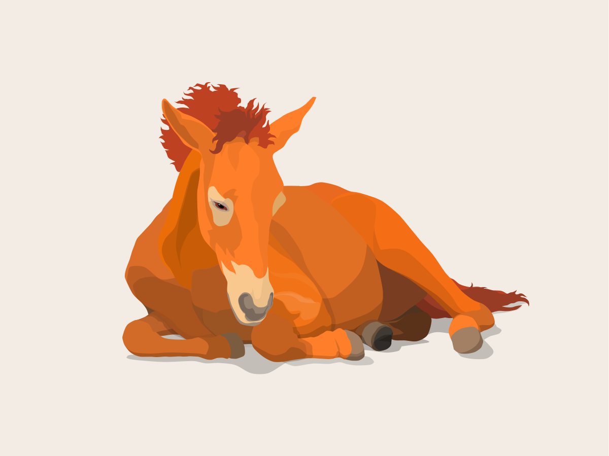 Season’s Greetings 2026